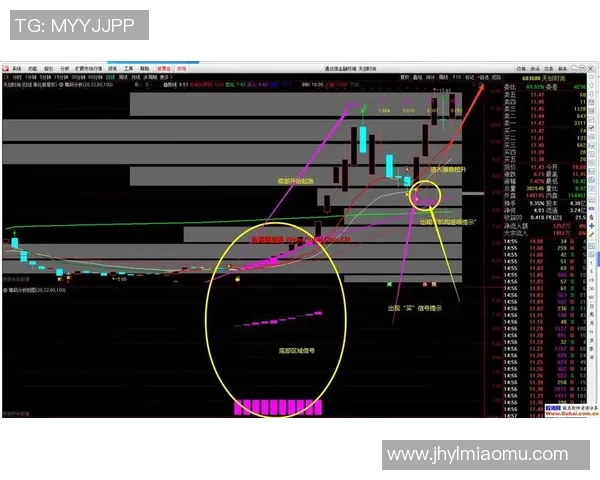奥瓦与科林蒂安基本面分析对比及未来走势预测 奥瓦与科林蒂安基本面分析对比及未来走势预测